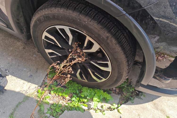 Used Mitsubishi Outlander 2019 2.0L Two-Wheel Drive Comfort Edition 5 Seats China VI Standard Exterior 7