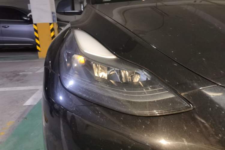 Used Tesla Model Y 2021 Standard Range Rear-Wheel Drive Version
