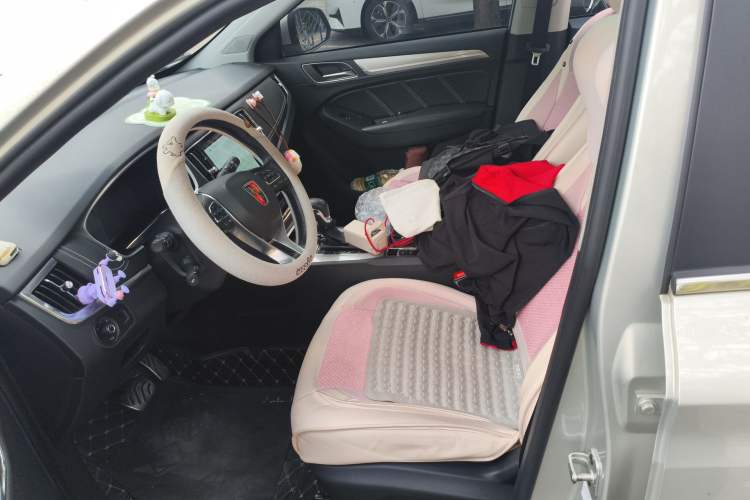 Used Roewe RX5 New Energy 2017 eRX5 50T Hybrid Connected Prestige Flagship Edition Left Front Seat