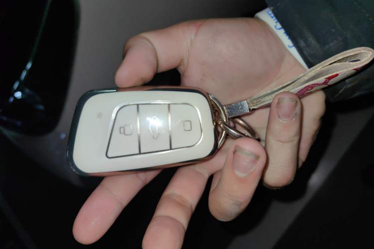 Used Chery Little Ant 2022 Restyled Version Sweet Pink Edition Half-Sugar Version 30.6 kWh 30 kW 301 km