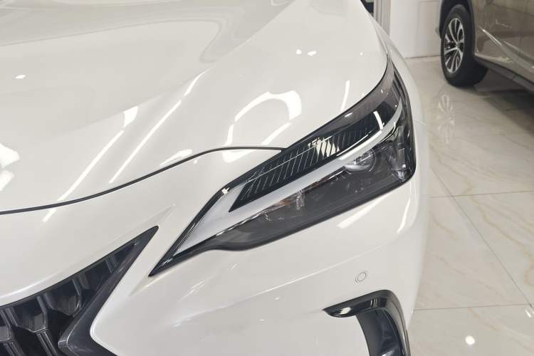 Used Lexus NX 2023 260 Front-Wheel Drive Chuan Yue Edition
