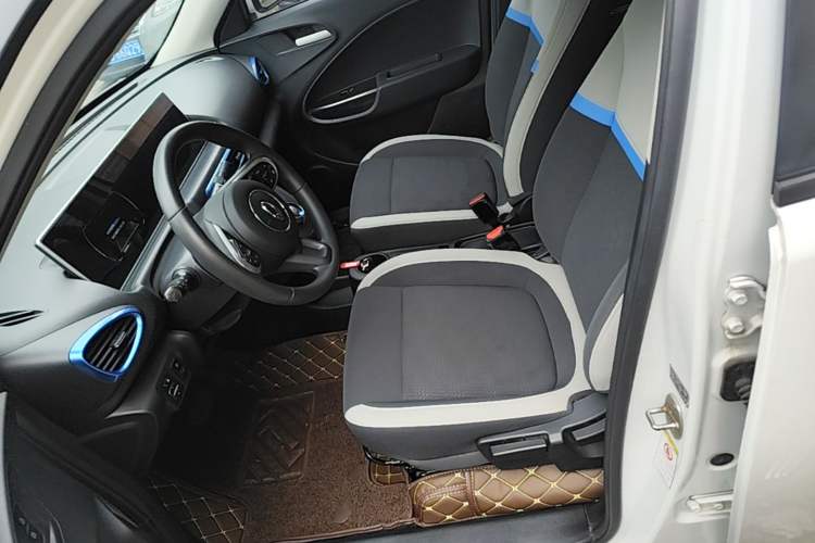 Used ORA White Cat 2020 305 km Luxury Version
