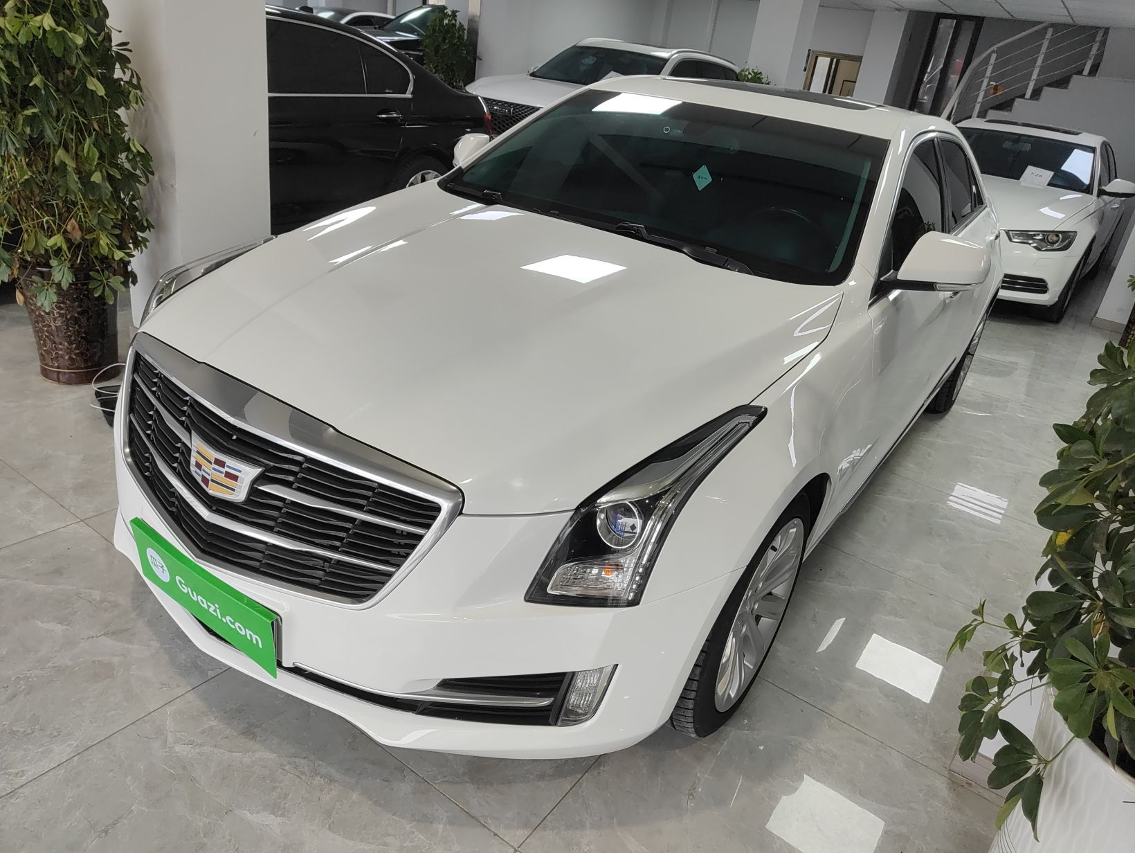 Under Front Bumper