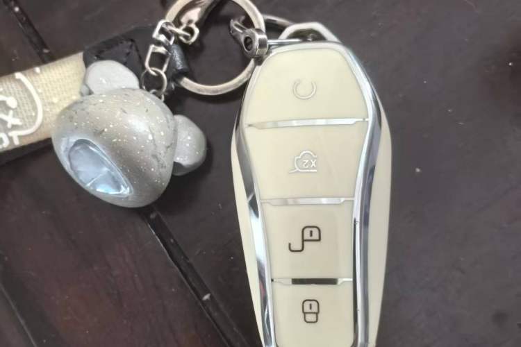 Used BYD e2 2021 Comfort Model