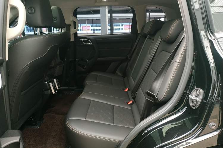 Used Haval DARGO 2024 2.0T DCT Chinese Rural Dog Edition Left Rear Seat