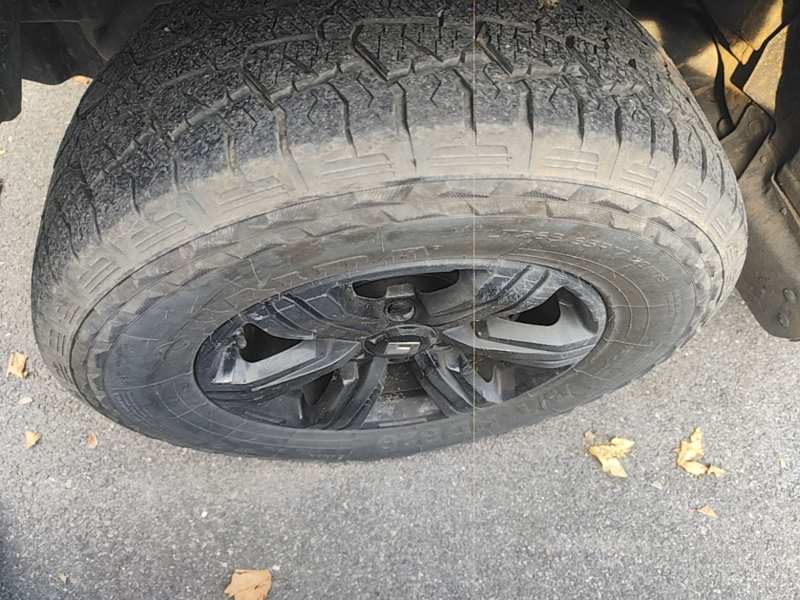Used Tank 300 2024 2.0T Challenger — 22