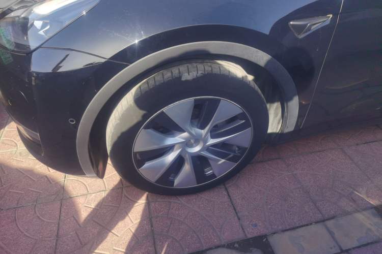 Used Tesla Model Y 2022 Revised Version Long-Range All-Wheel Drive
