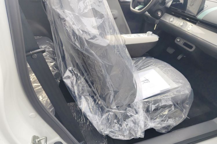 Used Qiyuan Lumin 2025 205 km Xiangqin Version
