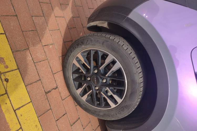 Used Chery Little Ant 2023 251km True Love Edition Lithium Iron Phosphate