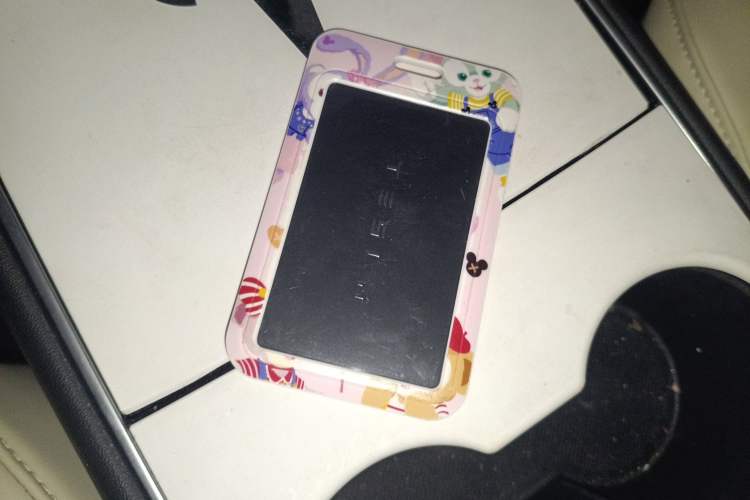 Used Tesla Model 3 2020 Standard Range Rear-Wheel Drive Upgraded Version