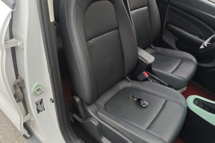 Used Leapmotor T03 2020 400 Luxury Edition
