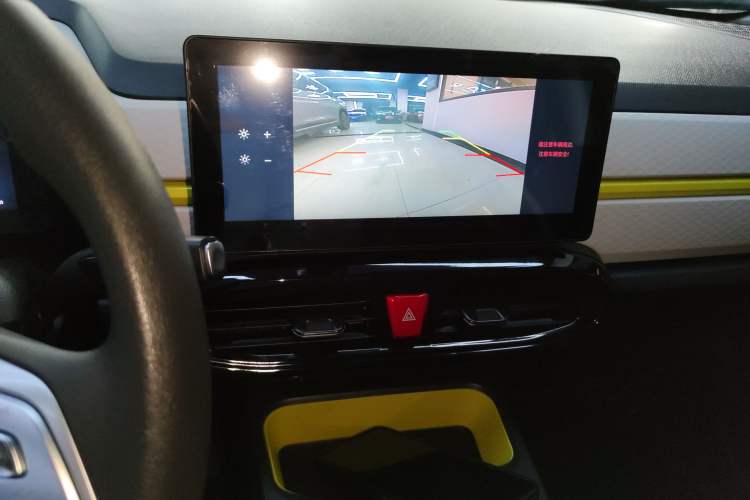 Used SOL E10X 2022 Flower Fairy Design Four-Leaf Clover
