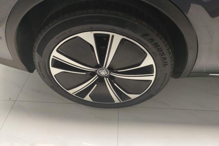 Used BYD Tang New Energy 2022 DM-p 215KM Four-Wheel Drive Flagship Model Exterior 5