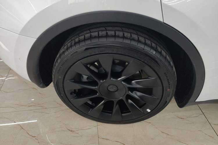 Used Tesla Model Y 2021 Standard Range Rear-Wheel Drive Version
