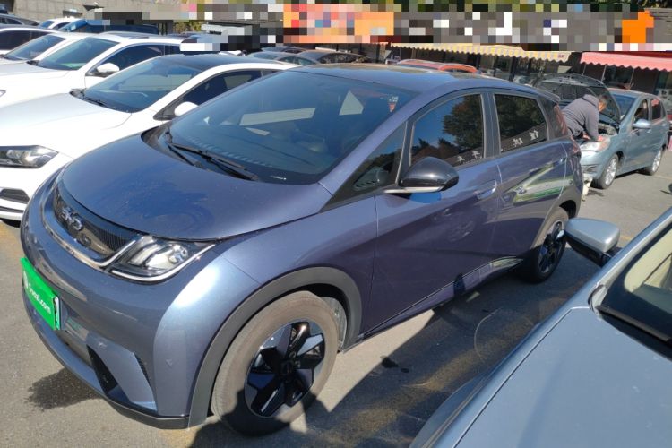 Used BYD Dolphin 2025 420km Free Edition