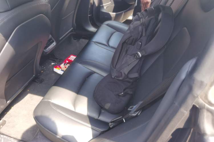 Used Tesla Model 3 2019 Standard Range Rear-Drive Upgraded Version