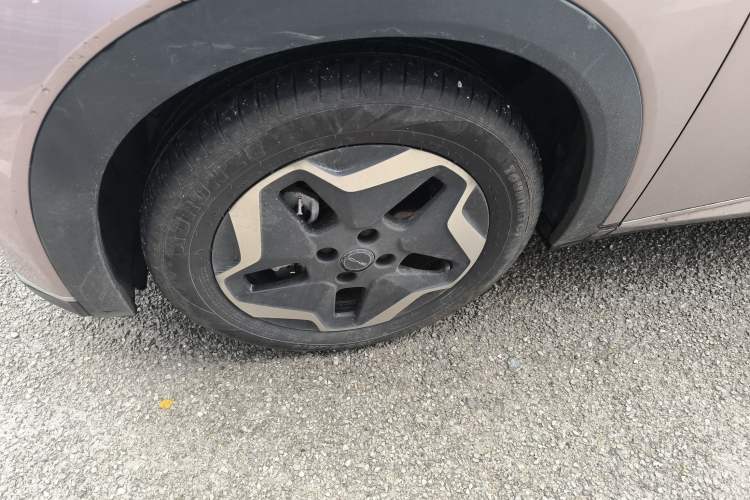 Used BYD Dolphin 2021 405 km Fashion Edition Left Front Wheel Hub