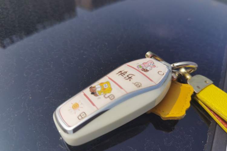 Used BYD Yuan PLUS 2022 430 km Luxury Version
