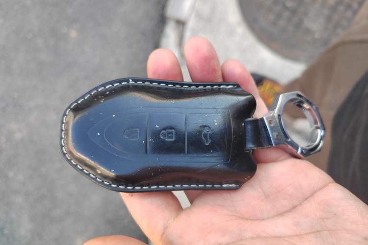 Used Leopaard Mattu 2018 1.6T GDI DCT Elite Model