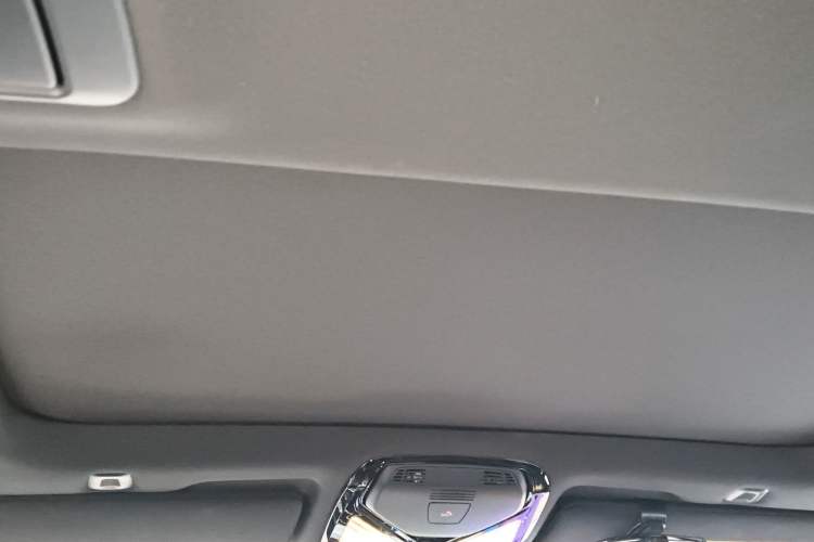 Used BMW 5 Series 2021 530Li Luxury Edition M Sport Package Headliner