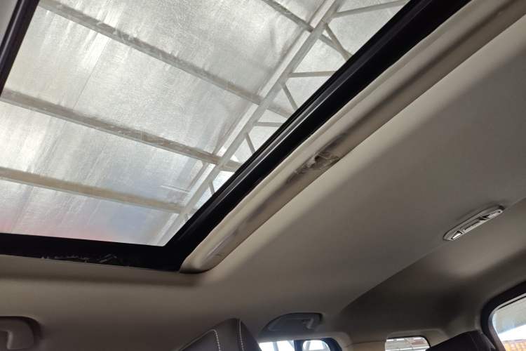 Used Tank 300 2023 Off-Road Edition 2.0T Conqueror
