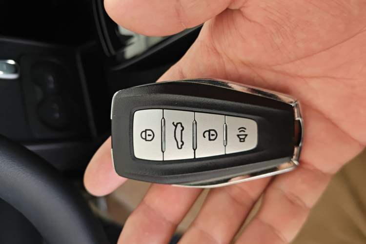 Used Geometry E Firefly 2022 401KM Lightning Tiger 4-Seater