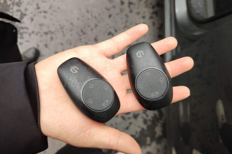 Used Leapmotor T03 2021 400 Lite Edition - Lithium-Ion Battery