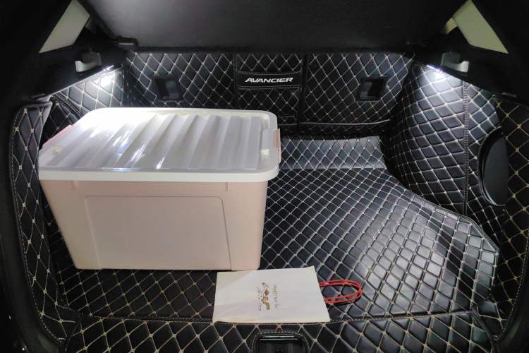 Used Honda Avancier 2020 370TURBO Two-Wheel Drive Luxury Edition