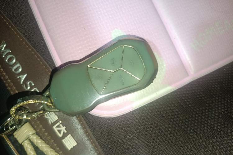 Used XPeng G3 2022 G3i 520G+ Vehicle Key