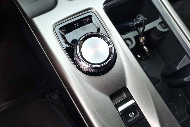 Used Haval DARGO 2024 2.0T DCT Chinese Rural Dog Edition
