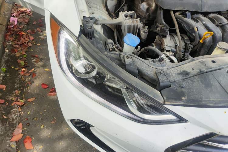 Used Hyundai Elantra (6th Generation / Lingdong) 2016 1.6L Automatic ZhiXuan – Elite Version Right Front Headlight