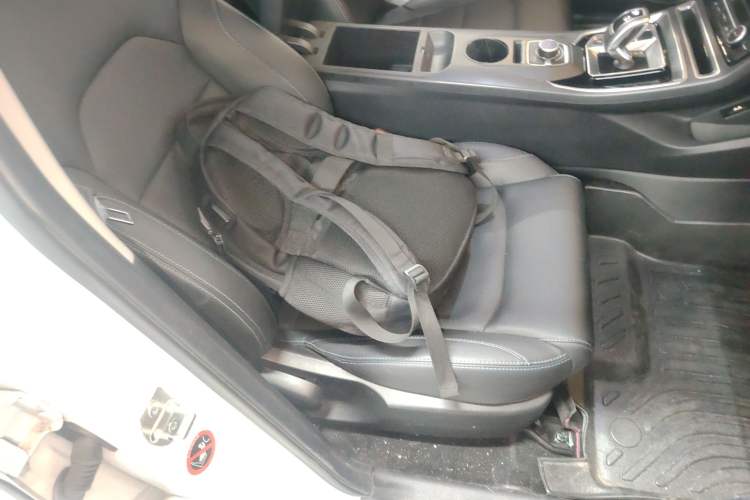 Used Geely Auto Emgrand New Energy 2019 EV500 Ambition Standard Range Edition Right Front Seat