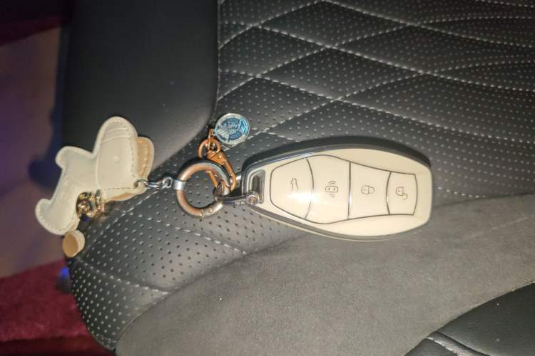 Used Hongqi HS5 2023 2.0T Qixiang Pro Edition