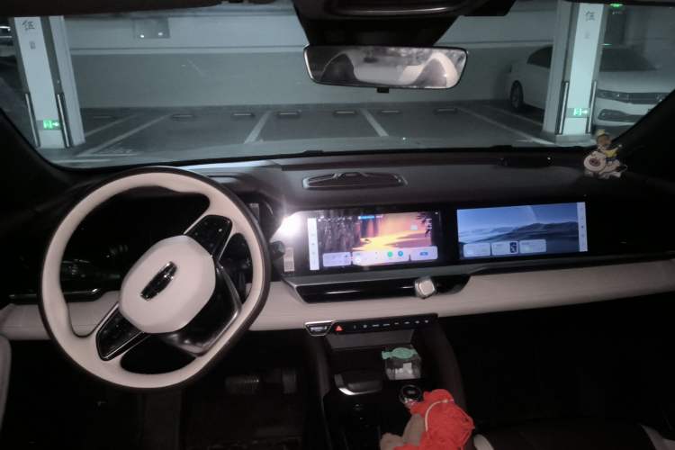 Used Geely Auto Monjaro L 2021 2.0TD DCT EVO Two-Wheel Drive Prestige Version Headliner