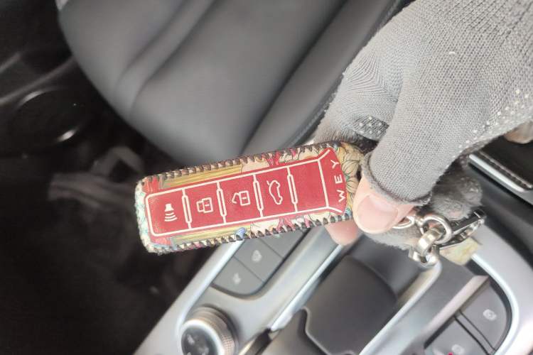 Used Tank 300 2021 Off-Road Edition 2.0T Conqueror
