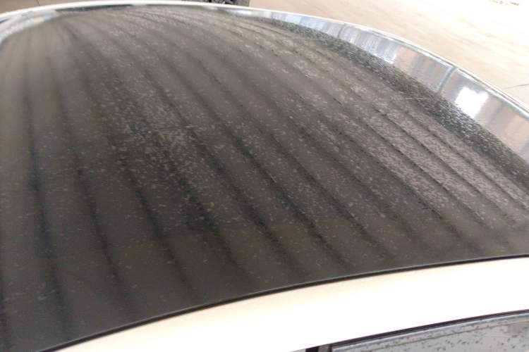 Used BYD Seal 2023 Champion Edition 550km Prestige Model
