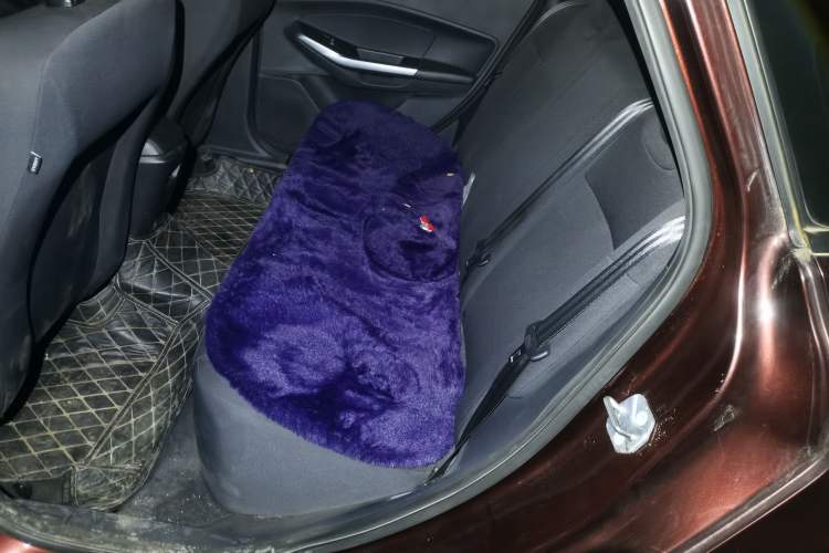 Used Ford Escort 2019 Revised 1.5L Automatic ZhiXiang Version China VI Standard
