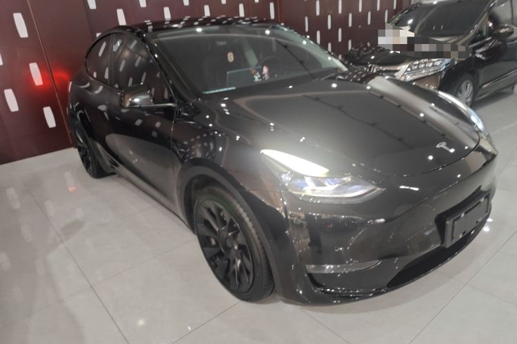 Used Tesla Model Y 2021 Standard Range Rear-Wheel Drive Version