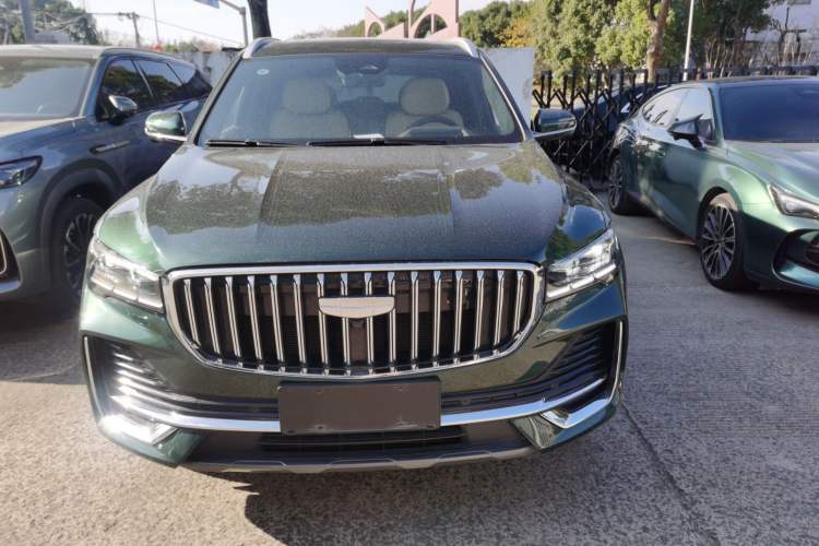 Used Geely Auto Monjaro L 2024 2.0TD High-Power Automatic Two-Wheel Drive Skyline Edition
