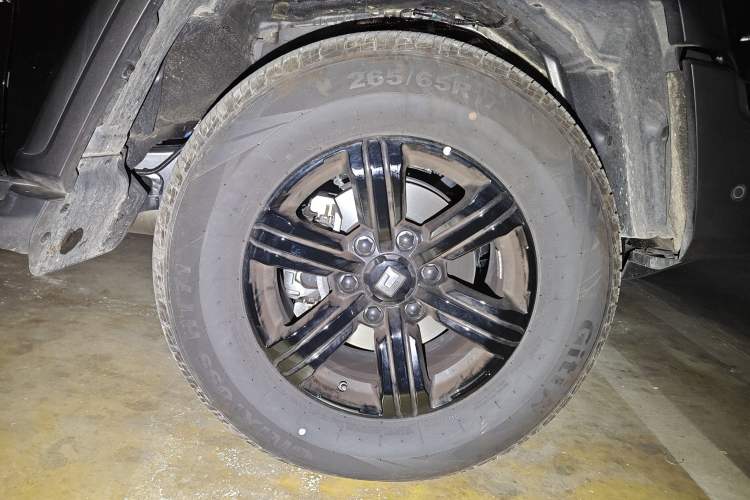 Used Tank 300 2025 2.4T Diesel Version