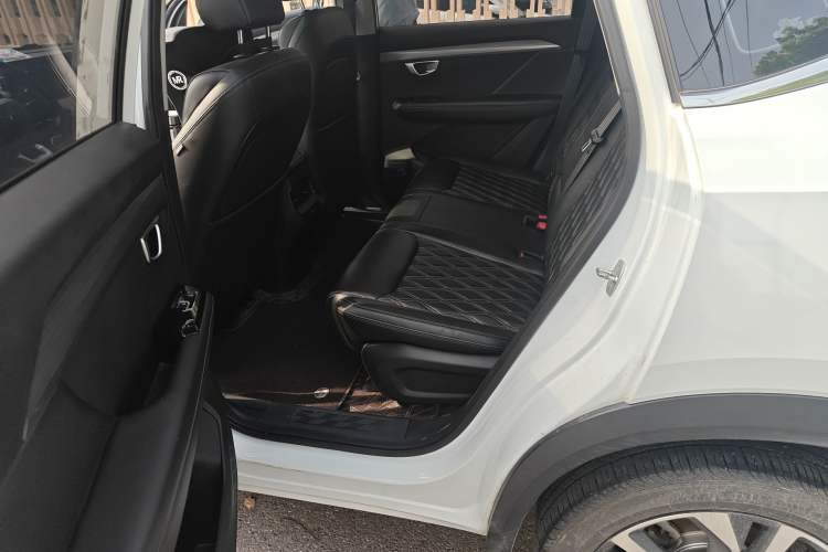 Used Wuling Asta 2022 2.0L DHT Electric-Speed Version Left Rear Seat