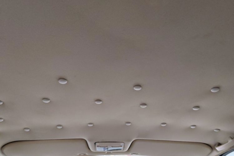 Used Volkswagen Santana Vista 2008 1.8L Manual Comfort Edition Headliner