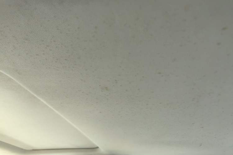 Used Nissan Teana 2011 2.5L XL Advanced Edition Headliner