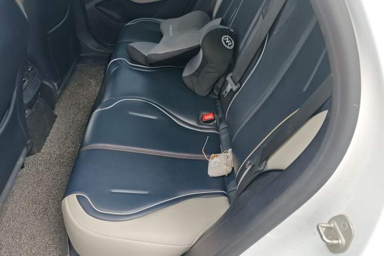 Used BYD Qin PLUS 2021 EV 500KM Luxury Model Left Rear Seat