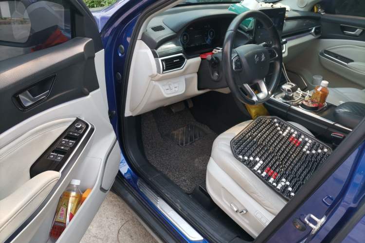 Used Hongqi E-HS3 2019 Zhilian Qiyue Two-Wheel Drive Version Driver Seat