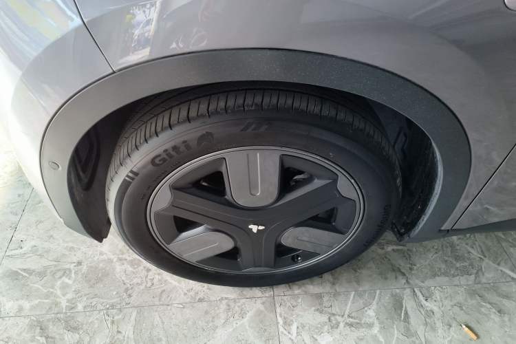 Used firefly 2025 Free Edition