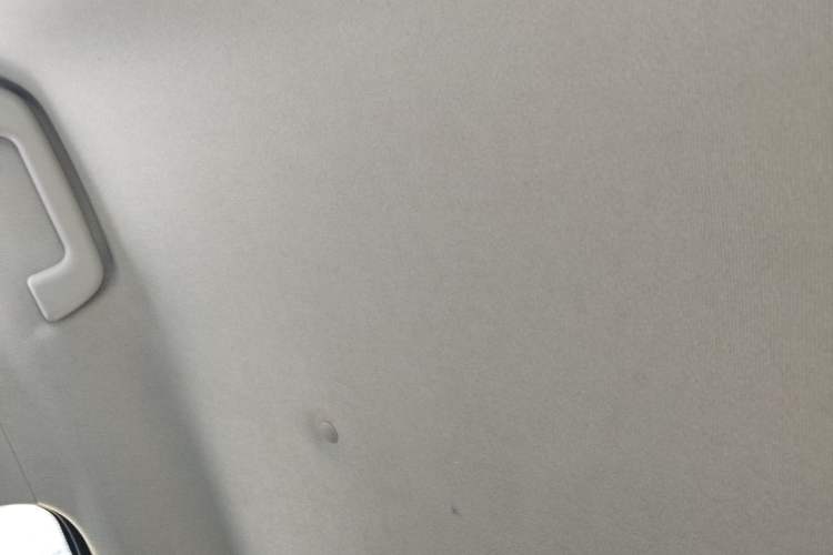 Used ORA Black Cat 2021 301 km Basic Version
