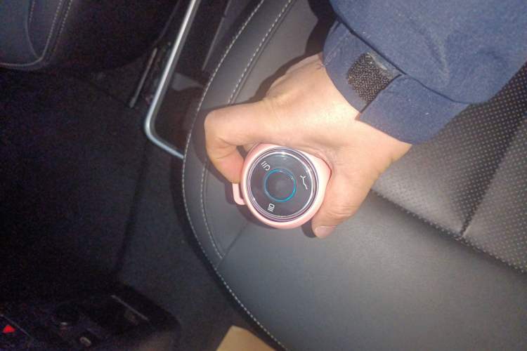 Used NETA V 2021 Standard Range Entertainment Edition