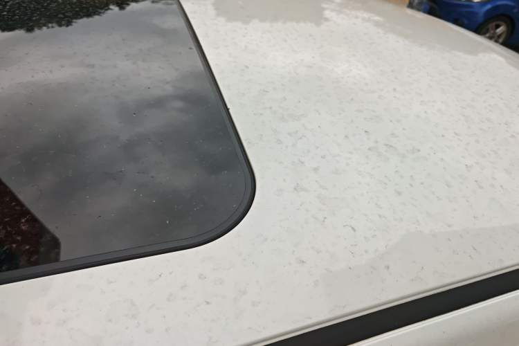 Used Venucia D60 2019 100 000 Honor 1.6L XL CVT Chenku Edition China VI Standard
