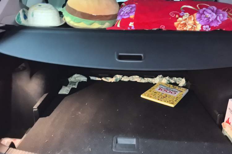 Used Volkswagen Tiguan L 2024 330TSI Automatic Two-Wheel Drive R-Line Enhanced Edition